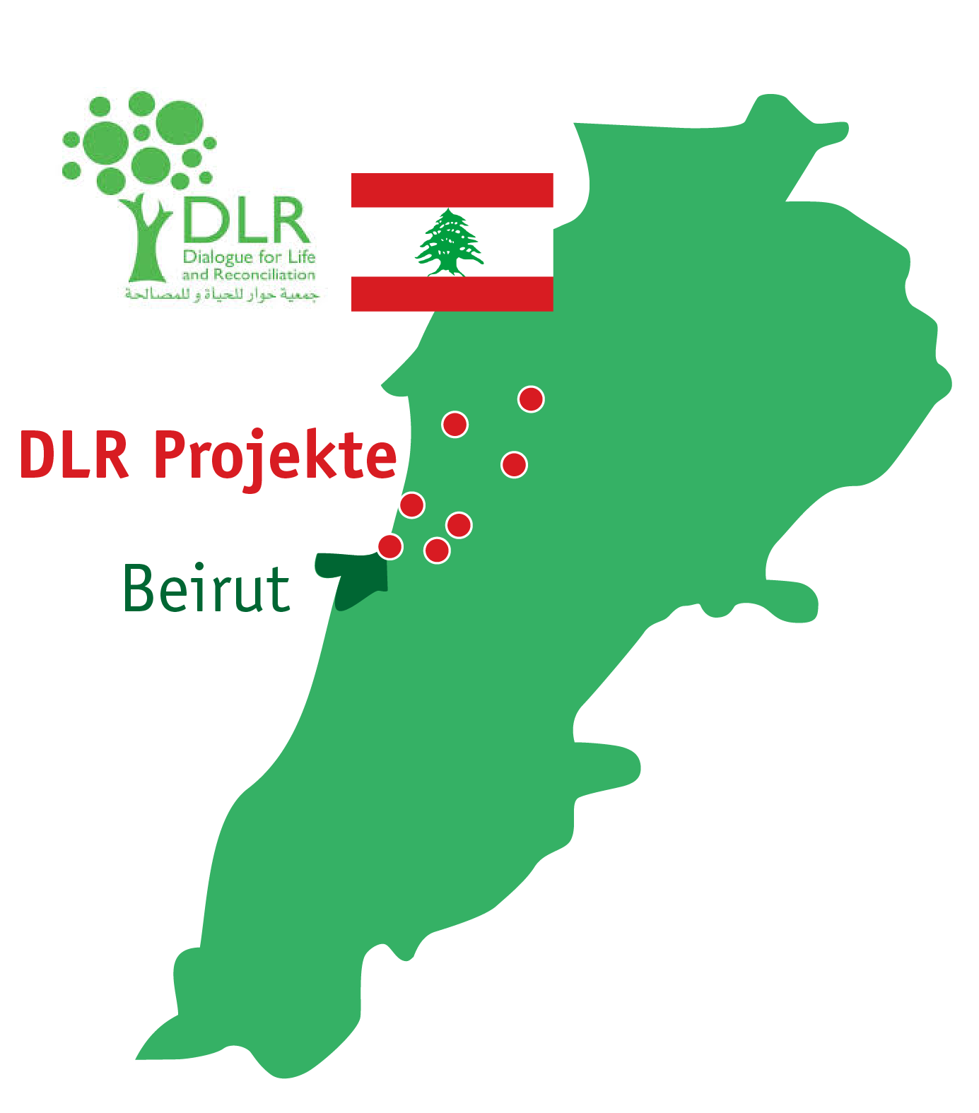 DLR Projekte